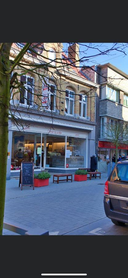 Gastenverblijf De Arend Nieuwpoort Exteriör bild